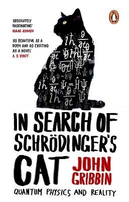 In Search Of Schrodinger