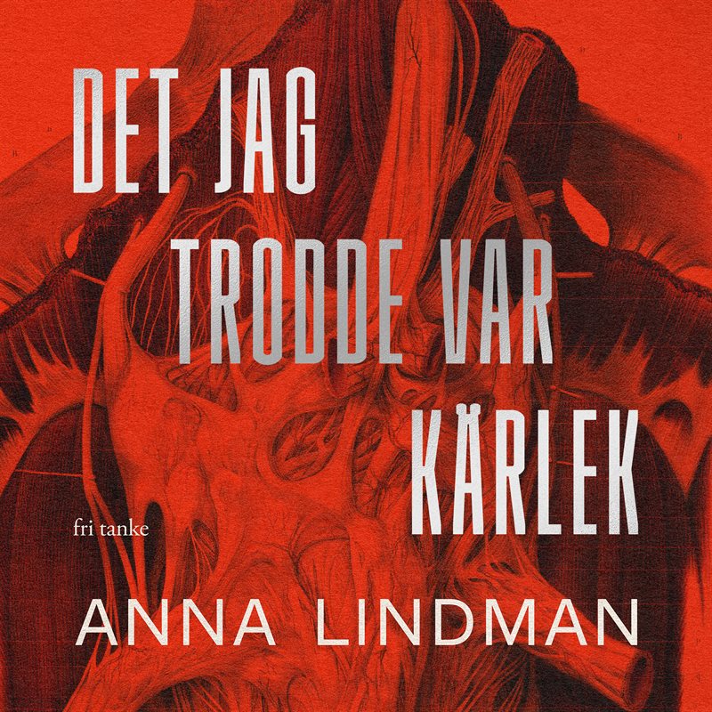 Det jag trodde var kärlek : En bok en om psykiskt våld