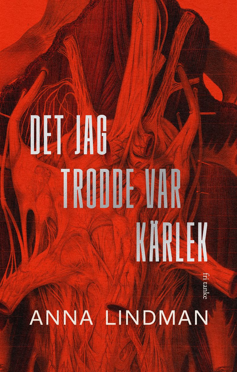 Det jag trodde var kärlek : En bok om psykiskt våld